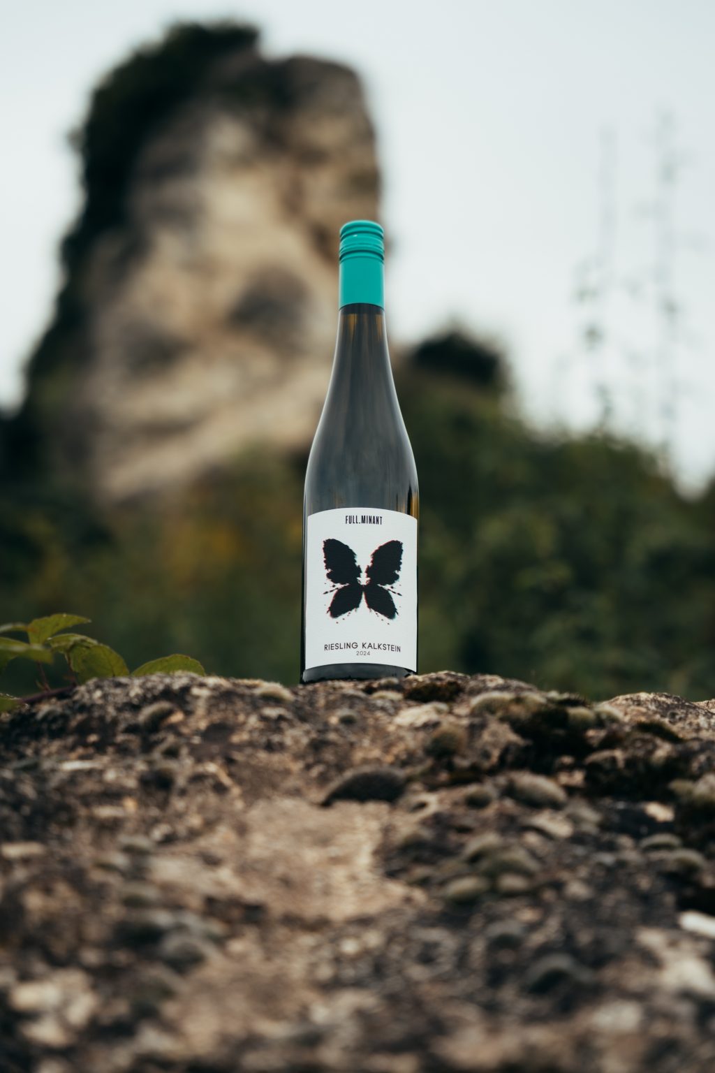 Gutsweine und Réserven